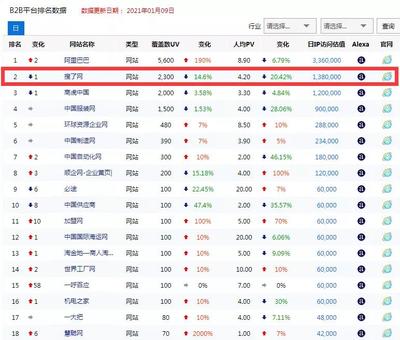 2021搜了网在【网站排行榜】上名列前茅