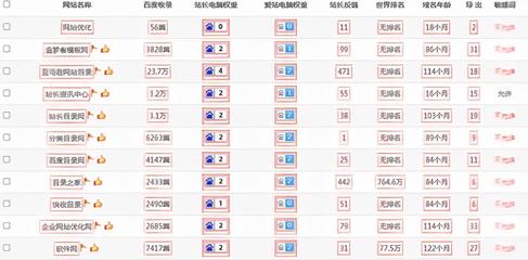 seo快速排名网站优化(企业网站快速优化排名)