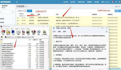网站排名监控的常见挑战 应对搜索引擎算法变化