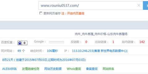 怎么样让网站收录速度快一点? - 搜索引擎优化(SEO) - 