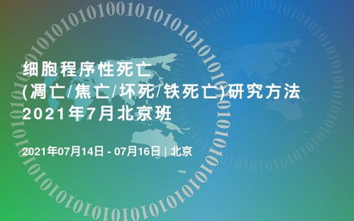 郑州it互联网会议2021年6月排行榜 郑州最近有什么会议 活动家