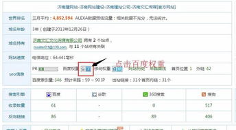 网站空间查询排名